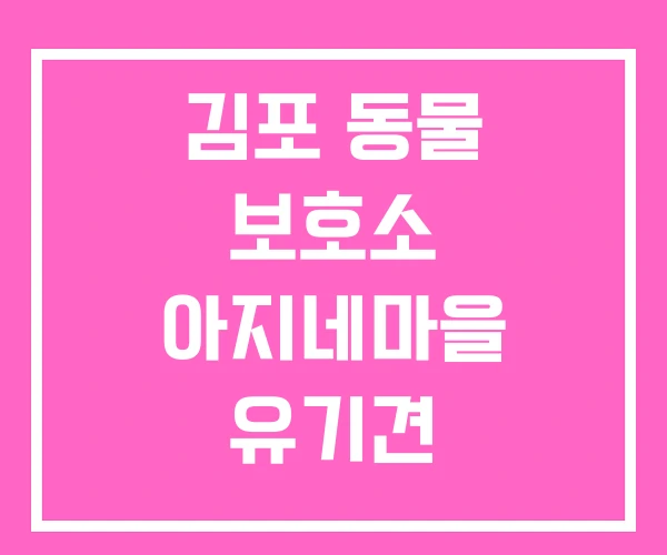 김포 동물 보호소 아지네마을 유기견
