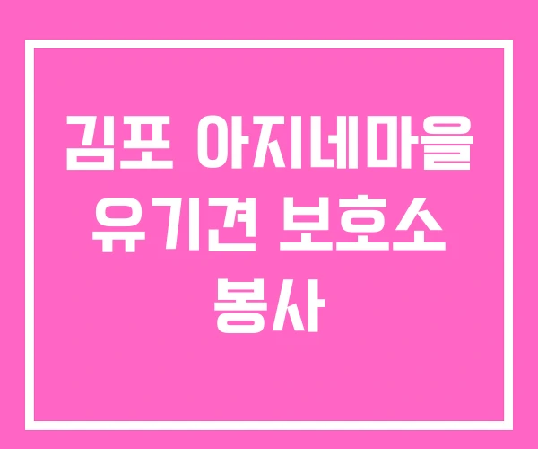 김포 아지네마을 유기견 보호소 봉사 김포 아지네마을 유기견 보호소 봉사