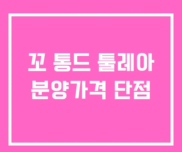꼬 통드 툴레아 분양가격 단점