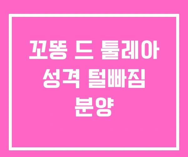 꼬똥 드 툴레아 성격 털빠짐 분양