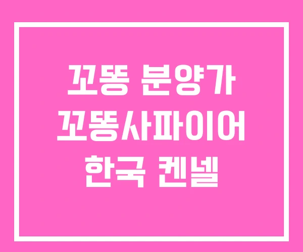 꼬똥 분양가 꼬똥사파이어 한국 켄넬 꼬똥 분양가 꼬똥사파이어 한국 켄넬