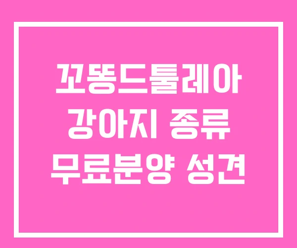 꼬똥드툴레아 강아지 종류 무료분양 성견 꼬똥드툴레아 강아지 종류 무료분양 성견