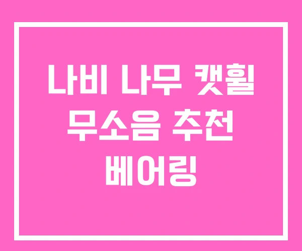 나비 나무 캣휠 무소음 추천 베어링 나비 나무 캣휠 무소음 추천 베어링