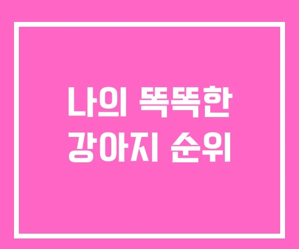 나의 똑똑한 강아지 순위 나의 똑똑한 강아지 순위