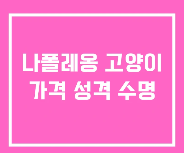 나폴레옹 고양이 가격 성격 수명