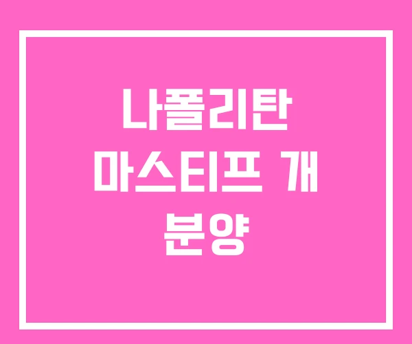 나폴리탄 마스티프 개 분양