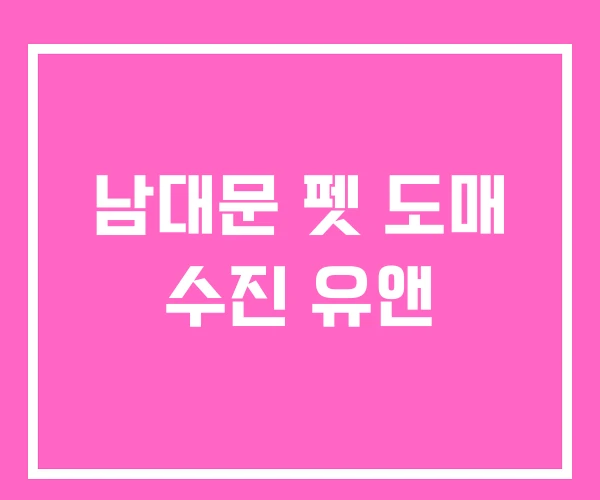 남대문 펫 도매 수진 유앤