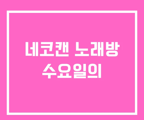 네코캔 노래방 수요일의