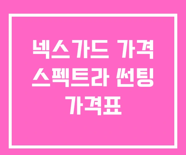 넥스가드 가격 스펙트라 썬팅 가격표 넥스가드 가격 스펙트라 썬팅 가격표
