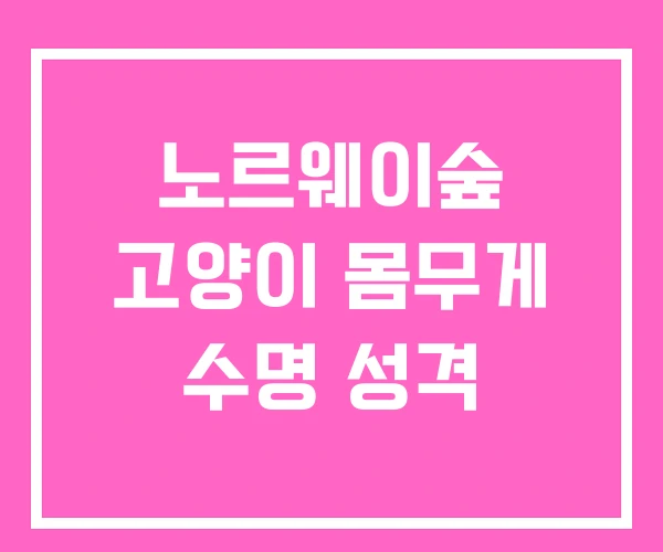 노르웨이숲 고양이 몸무게 수명 성격