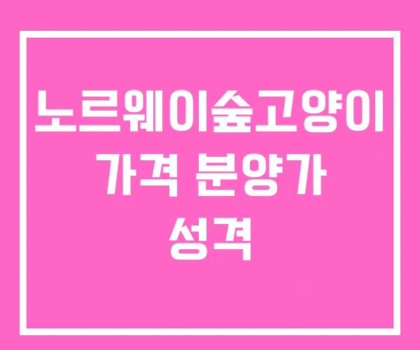 노르웨이숲고양이 가격 분양가 성격