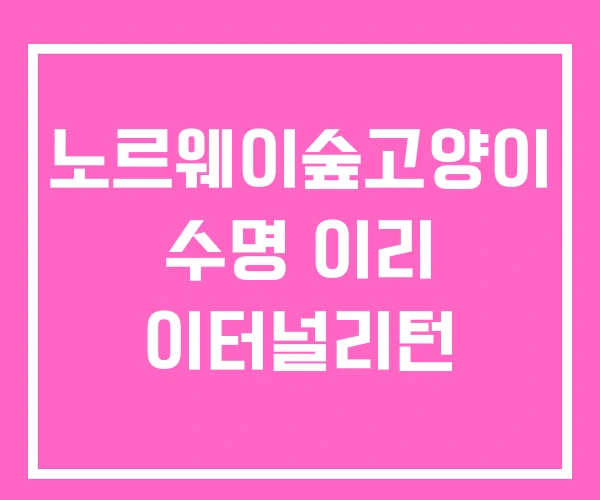 노르웨이숲고양이 수명 이리 이터널리턴