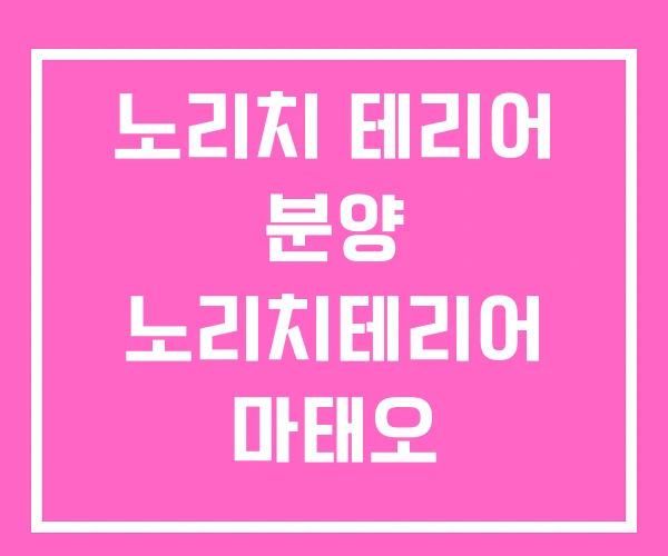 노리치 테리어 분양 노리치테리어 마태오 노리치 테리어 분양 노리치테리어 마태오