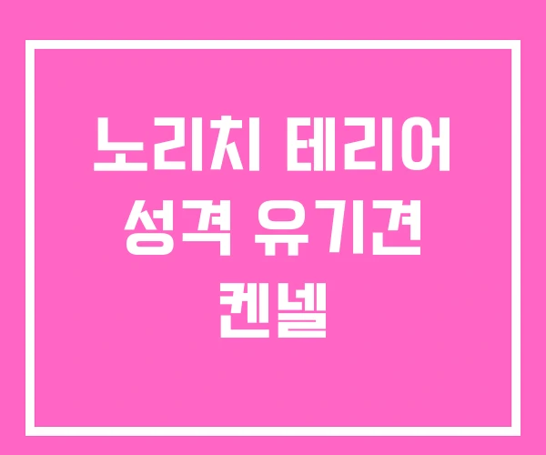 노리치 테리어 성격 유기견 켄넬 노리치 테리어 성격 유기견 켄넬