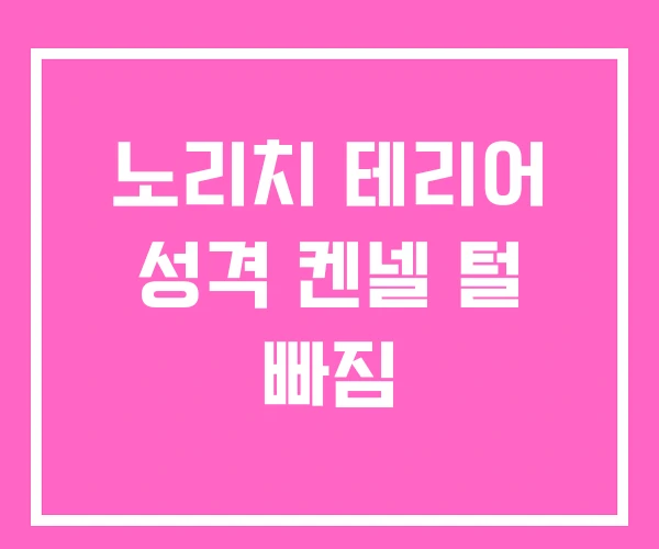 노리치 테리어 성격 켄넬 털 빠짐 노리치 테리어 성격 켄넬 털 빠짐