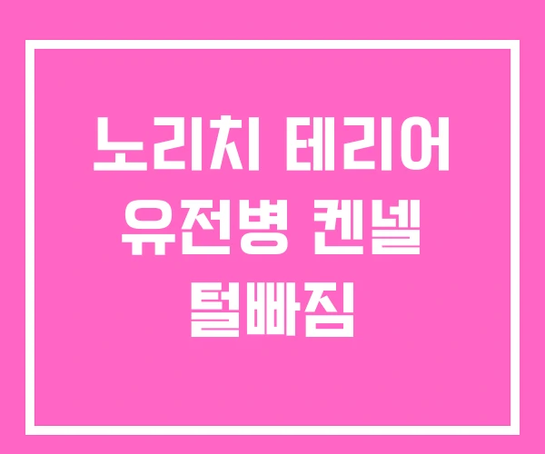 노리치 테리어 유전병 켄넬 털빠짐 노리치 테리어 유전병 켄넬 털빠짐