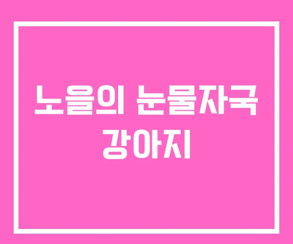 노을의 눈물자국 강아지 노을의 눈물자국 강아지