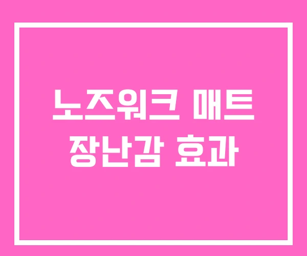 노즈워크 매트 장난감 효과