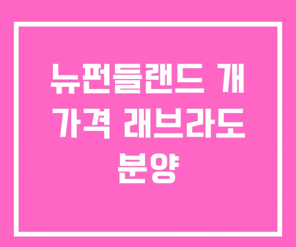 뉴펀들랜드 개 가격 래브라도 분양 뉴펀들랜드 개 가격 래브라도 분양