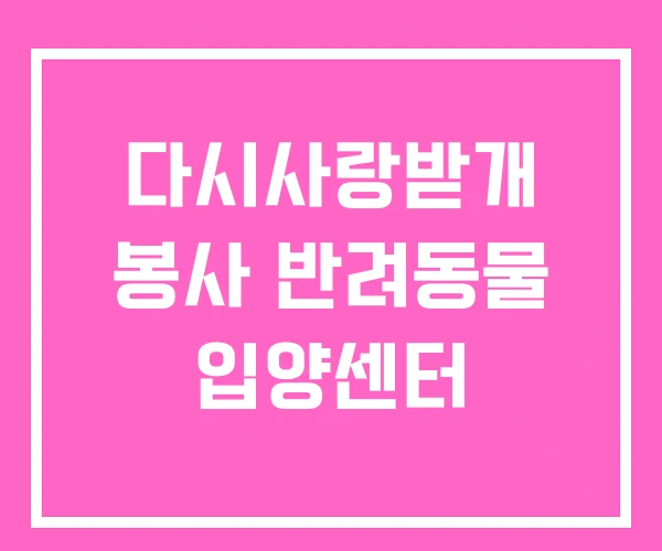 다시사랑받개 봉사 반려동물 입양센터 다시사랑받개 봉사 반려동물 입양센터