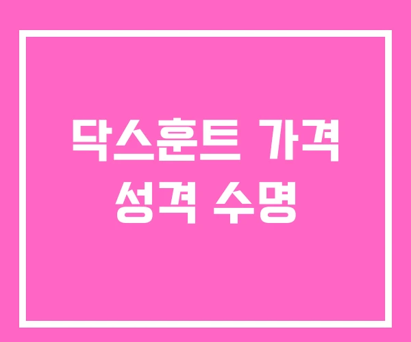 닥스훈트 가격 성격 수명 닥스훈트 가격 성격 수명