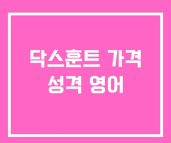 닥스훈트 가격 성격 영어