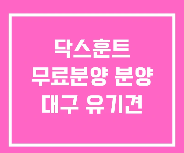 닥스훈트 무료분양 분양 대구 유기견