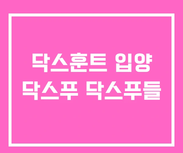 닥스훈트 입양 닥스푸 닥스푸들 닥스훈트 입양 닥스푸 닥스푸들
