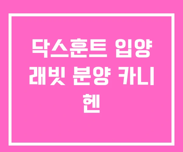 닥스훈트 입양 래빗 분양 카니 헨
