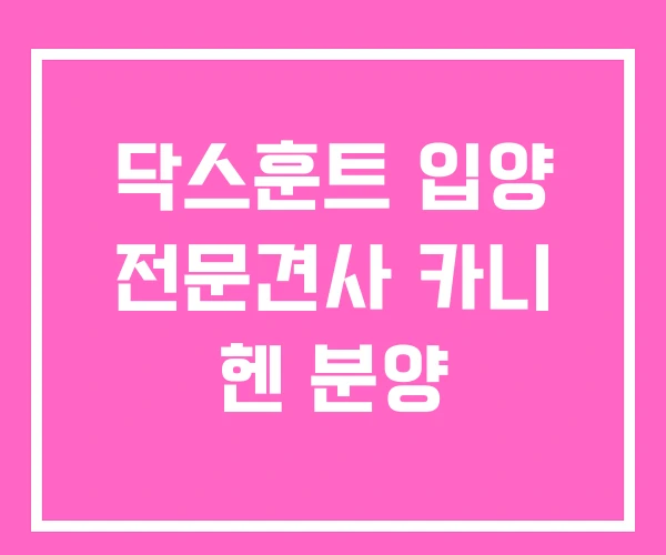 닥스훈트 입양 전문견사 카니 헨 분양 닥스훈트 입양 전문견사 카니 헨 분양