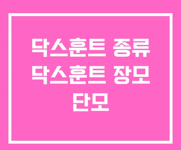 닥스훈트 종류 닥스훈트 장모 단모 닥스훈트 종류 닥스훈트 장모 단모