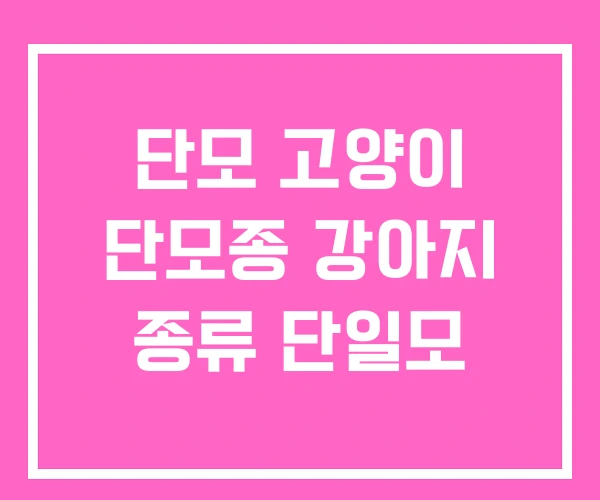 단모 고양이 단모종 강아지 종류 단일모