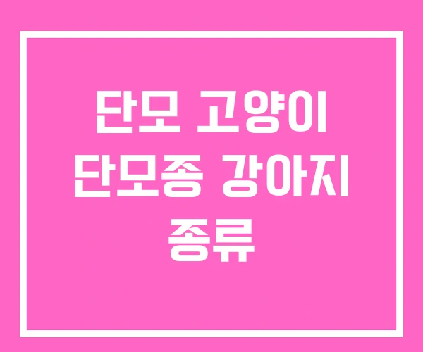 단모 고양이 단모종 강아지 종류