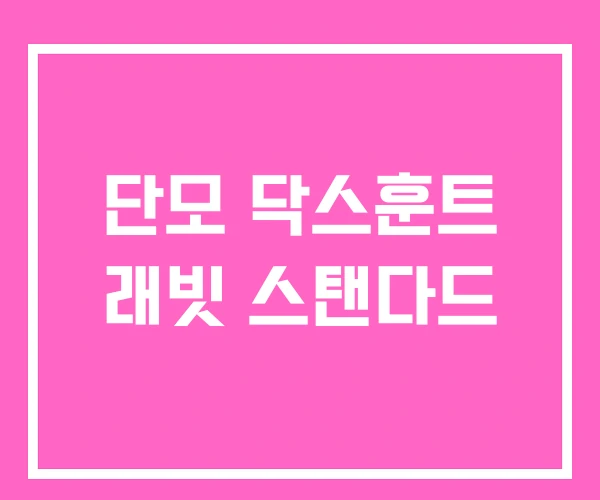 단모 닥스훈트 래빗 스탠다드 단모 닥스훈트 래빗 스탠다드