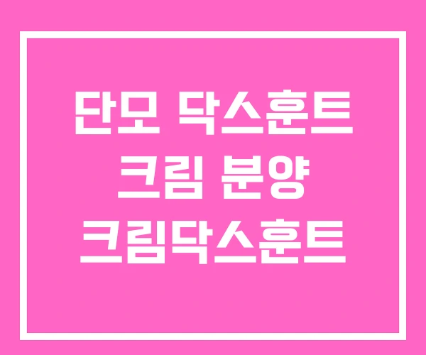 단모 닥스훈트 크림 분양 크림닥스훈트