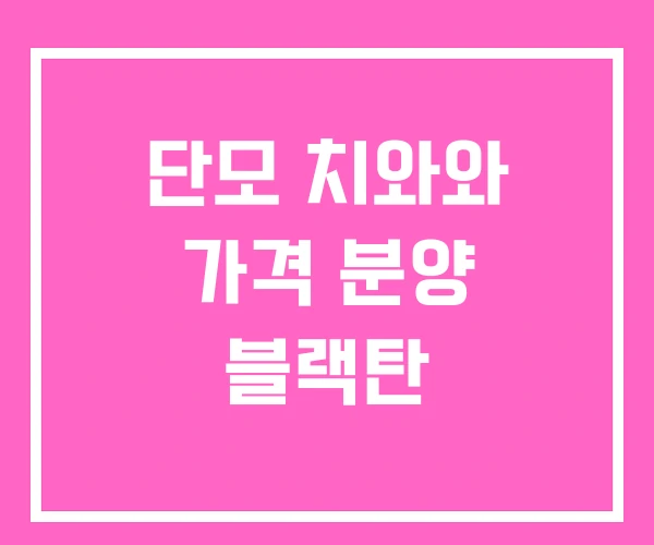 단모 치와와 가격 분양 블랙탄 단모 치와와 가격 분양 블랙탄