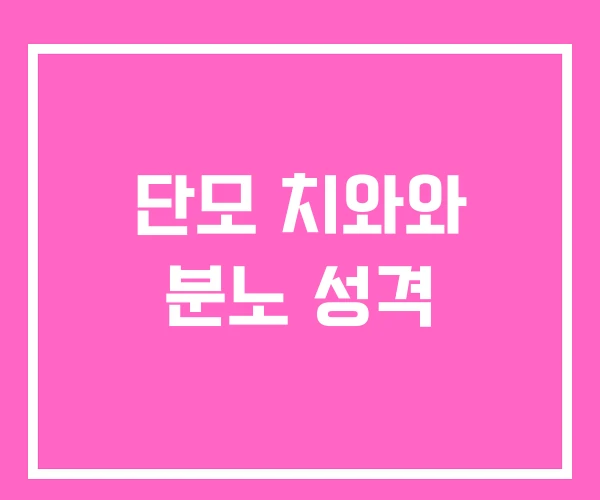 단모 치와와 분노 성격 단모 치와와 분노 성격