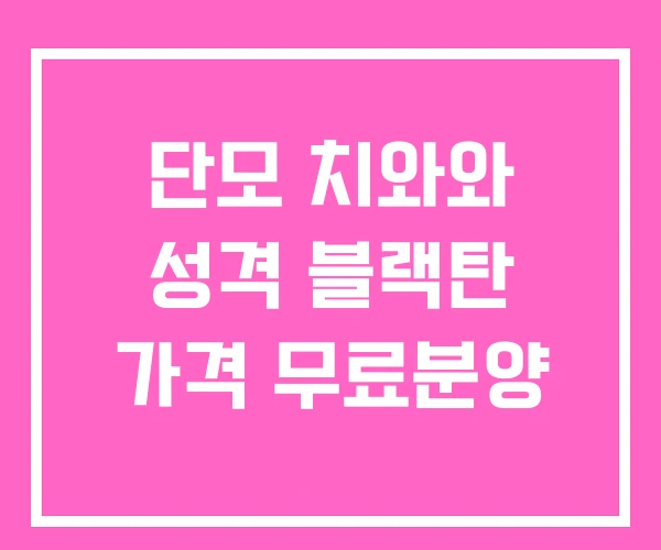 단모 치와와 성격 블랙탄 가격 무료분양