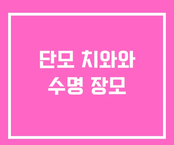단모 치와와 수명 장모 단모 치와와 수명 장모