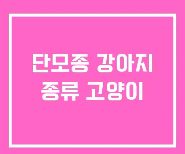 단모종 강아지 종류 고양이