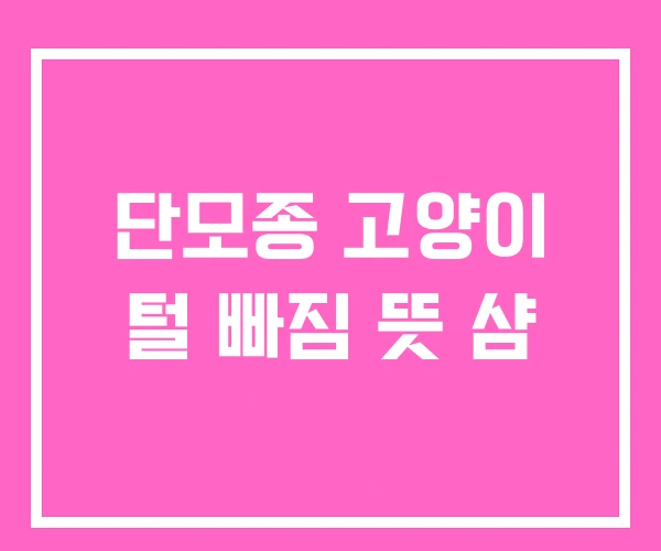 단모종 고양이 털 빠짐 뜻 샴