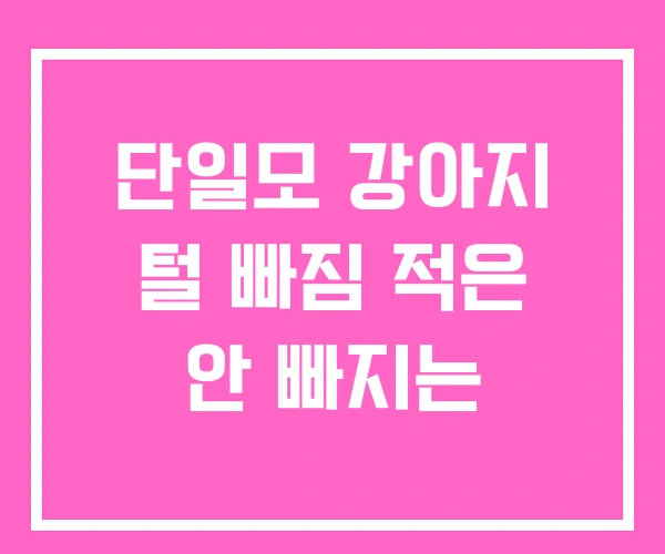 단일모 강아지 털 빠짐 적은 안 빠지는 단일모 강아지 털 빠짐 적은 안 빠지는