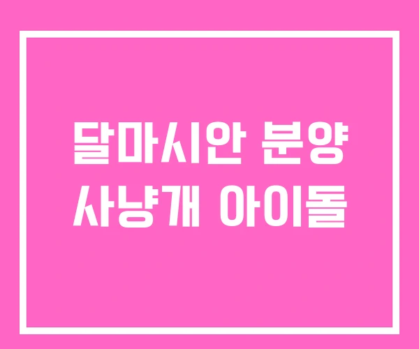 달마시안 분양 사냥개 아이돌