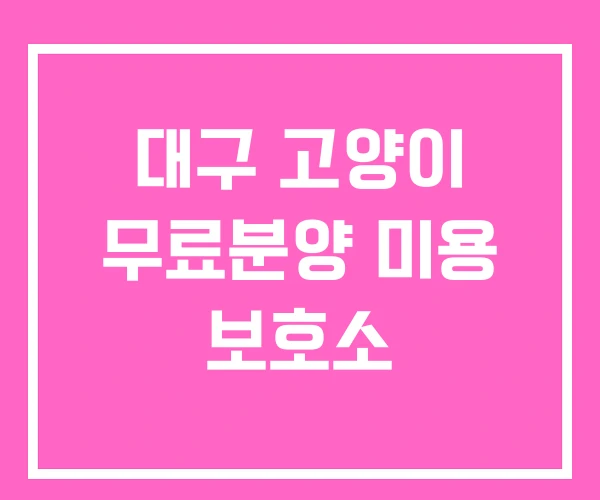 대구 고양이 무료분양 미용 보호소
