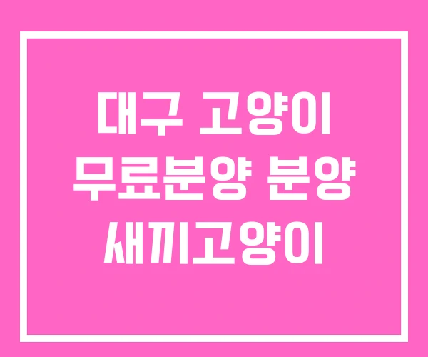 대구 고양이 무료분양 분양 새끼고양이