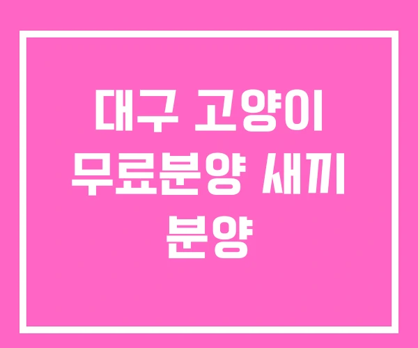 대구 고양이 무료분양 새끼 분양