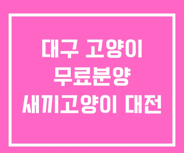 대구 고양이 무료분양 새끼고양이 대전