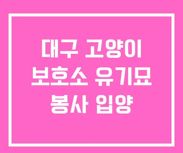 대구 고양이 보호소 유기묘 봉사 입양