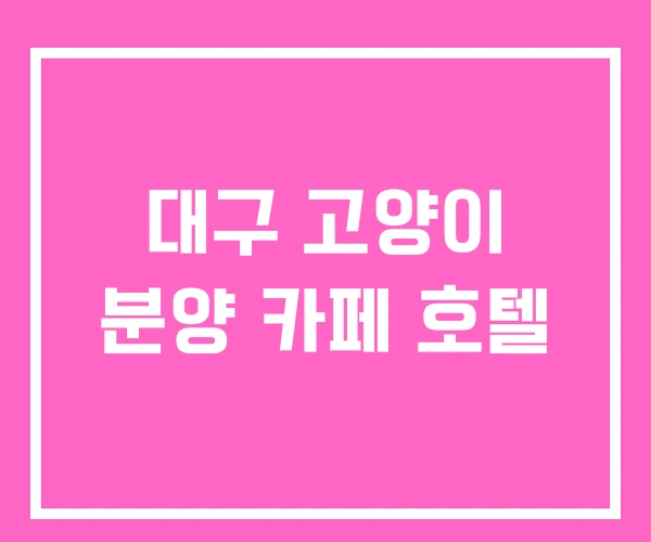 대구 고양이 분양 카페 호텔