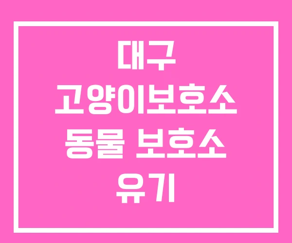 대구 고양이보호소 동물 보호소 유기